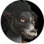 Icon race worgen female.png