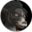 Icon race worgen female.png